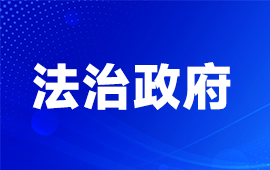 法治政府